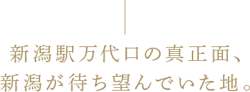 新潟駅万代口の真正面、新潟が待ち望んでいた地。