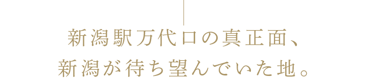 新潟駅万代口の真正面、新潟が待ち望んでいた地。